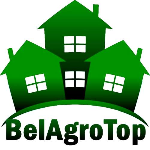 logo stite